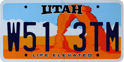 UT license plate W513TM