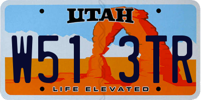 UT license plate W513TR