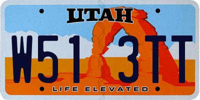 UT license plate W513TT