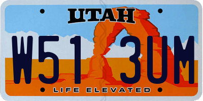 UT license plate W513UM