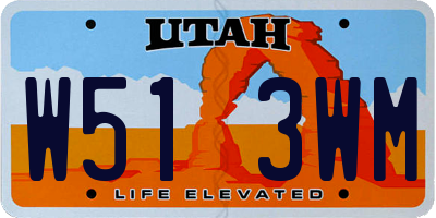 UT license plate W513WM