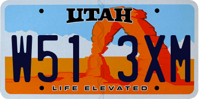 UT license plate W513XM