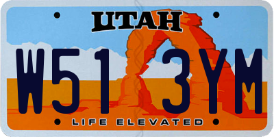 UT license plate W513YM