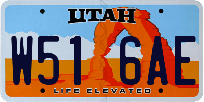 UT license plate W516AE