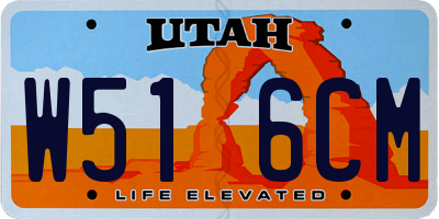 UT license plate W516CM