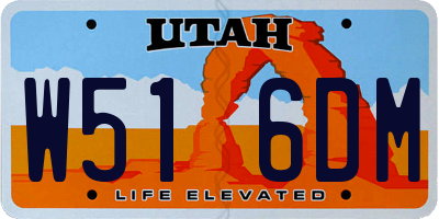 UT license plate W516DM