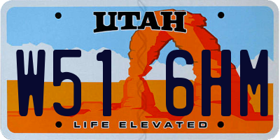UT license plate W516HM