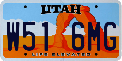 UT license plate W516MG
