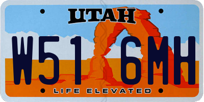 UT license plate W516MH