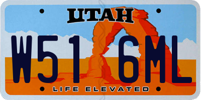 UT license plate W516ML