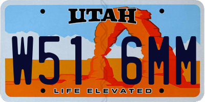 UT license plate W516MM