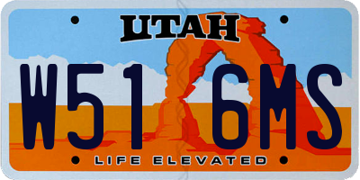 UT license plate W516MS