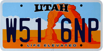 UT license plate W516NP