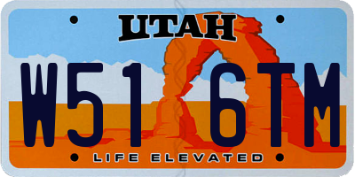 UT license plate W516TM