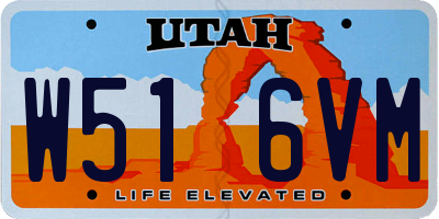 UT license plate W516VM