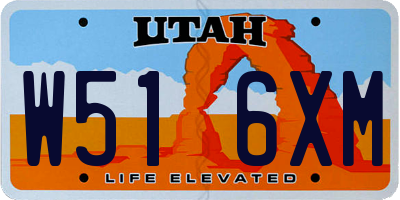 UT license plate W516XM