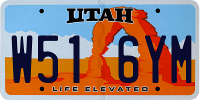 UT license plate W516YM
