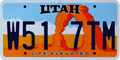 UT license plate W517TM