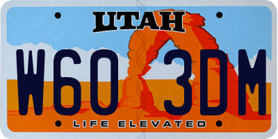 UT license plate W603DM