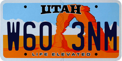 UT license plate W603NM