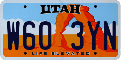 UT license plate W603YN