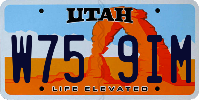 UT license plate W759IM