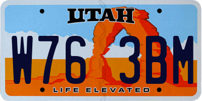 UT license plate W763BM