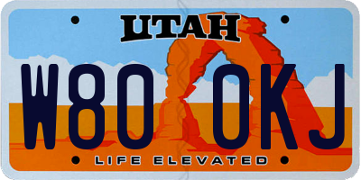 UT license plate W800KJ