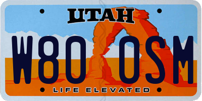 UT license plate W800SM