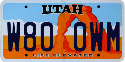 UT license plate W800WM