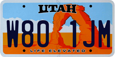 UT license plate W801JM