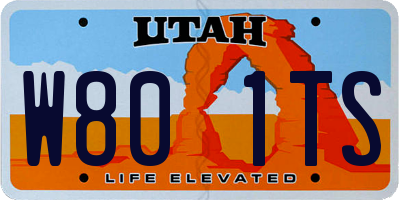 UT license plate W801TS