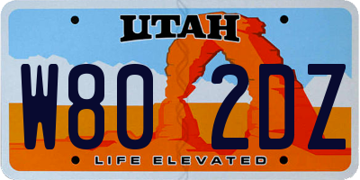 UT license plate W802DZ