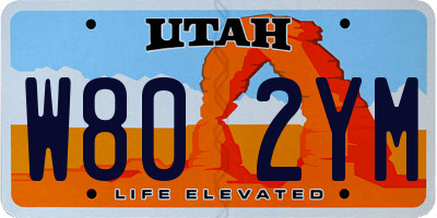 UT license plate W802YM