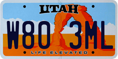 UT license plate W803ML