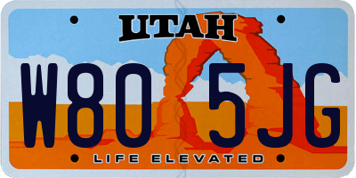 UT license plate W805JG
