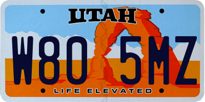 UT license plate W805MZ
