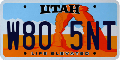 UT license plate W805NT