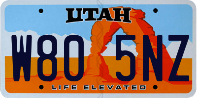 UT license plate W805NZ