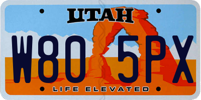 UT license plate W805PX