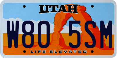 UT license plate W805SM
