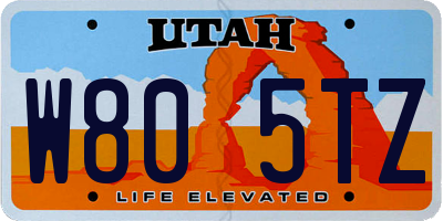 UT license plate W805TZ