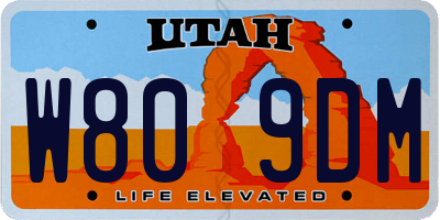 UT license plate W809DM