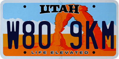 UT license plate W809KM