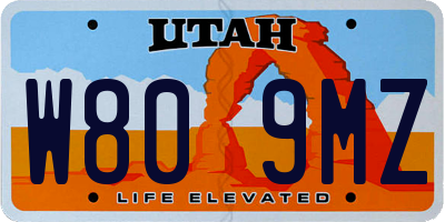 UT license plate W809MZ