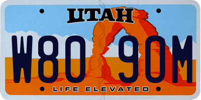 UT license plate W809OM