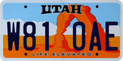 UT license plate W810AE