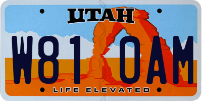 UT license plate W810AM