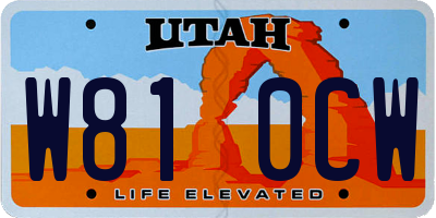 UT license plate W810CW