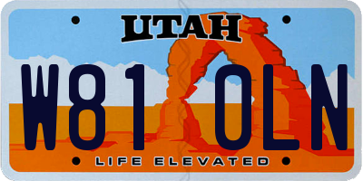UT license plate W810LN